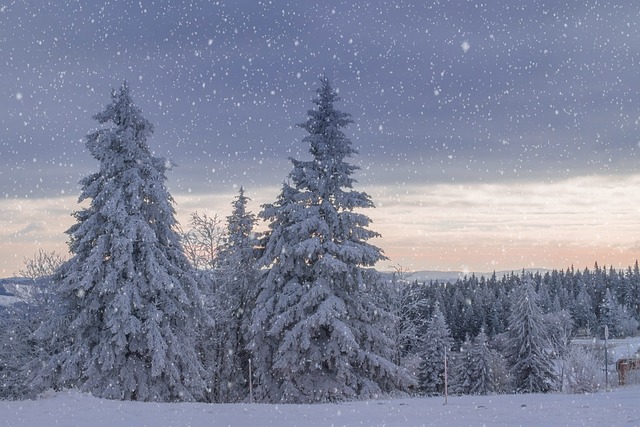 Mit Qigong durch die Weihnachtszeit